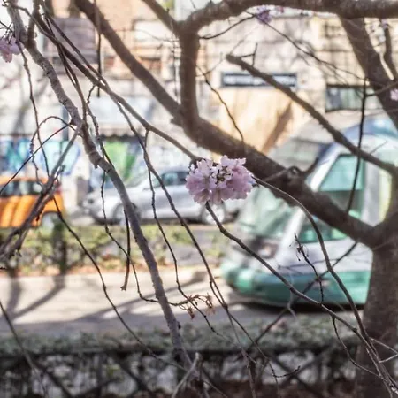 Esclusivo A Trastevere Con Terrazzo Rome