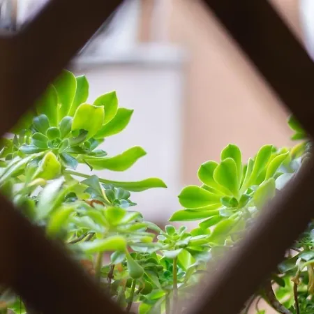 Esclusivo A Trastevere Con Terrazzo Rome